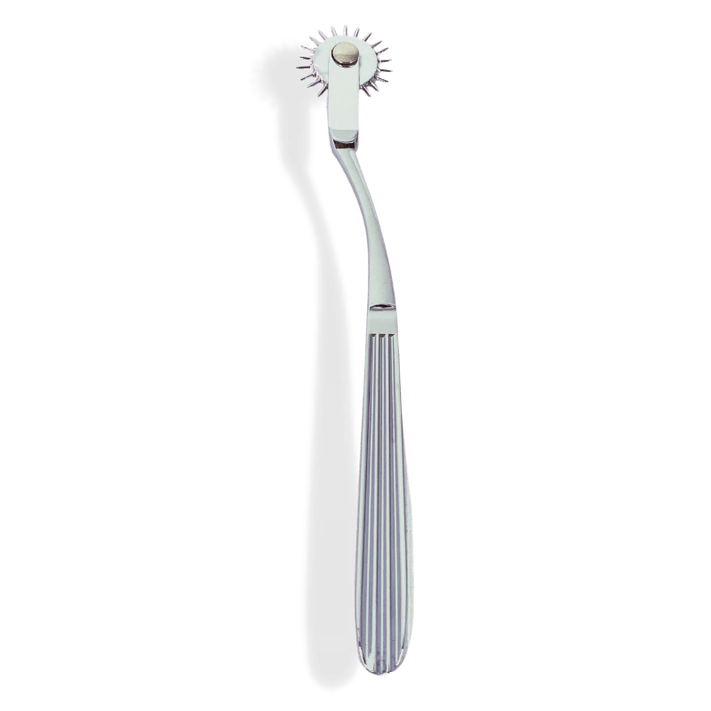 Terra- The Ultimate BDSM Pinwheel and Wartenberg Wheel  FaceMe Love