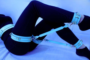 Bondage Gear Italian Leather Ultimate BDSM Gear Set