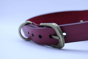 BDSM Leather Choker Collar with D-Ring  BDSM Submissive Collar